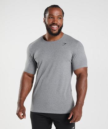 Gymshark Essential Muške T Shirts Sive | HR 2483WNB